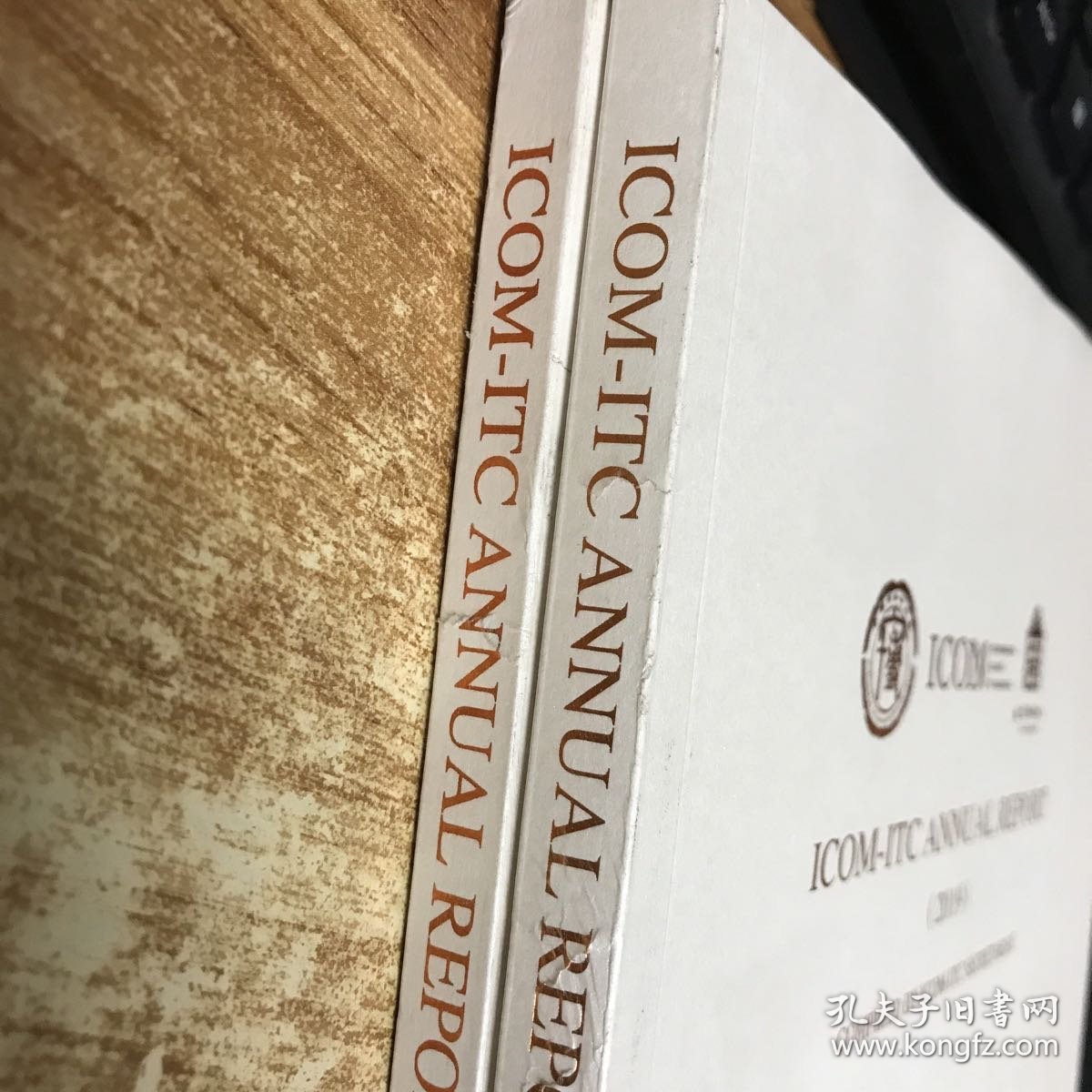 国际博协培训中心年度报告.2019.英文