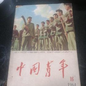 中国青年1964/16