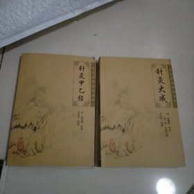 针灸大成
