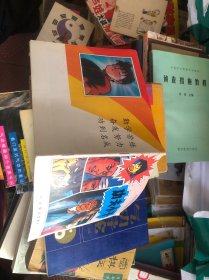 功夫小子
