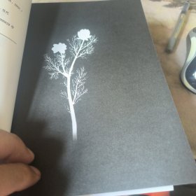 遥远的救世主