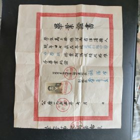 1955年河南省速成初级中学中学班毕业证书