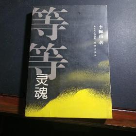 等等灵魂