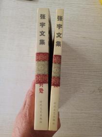 张宇文集:疼痛与抚摸+与自己和平共处(2册合售)