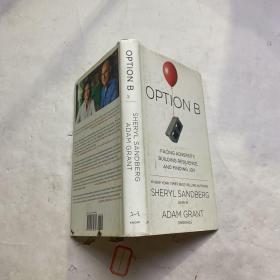 Option B: Facing Adversity, Building Resilience, and Finding Joy