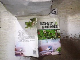 新居净化空气与有毒植物图鉴