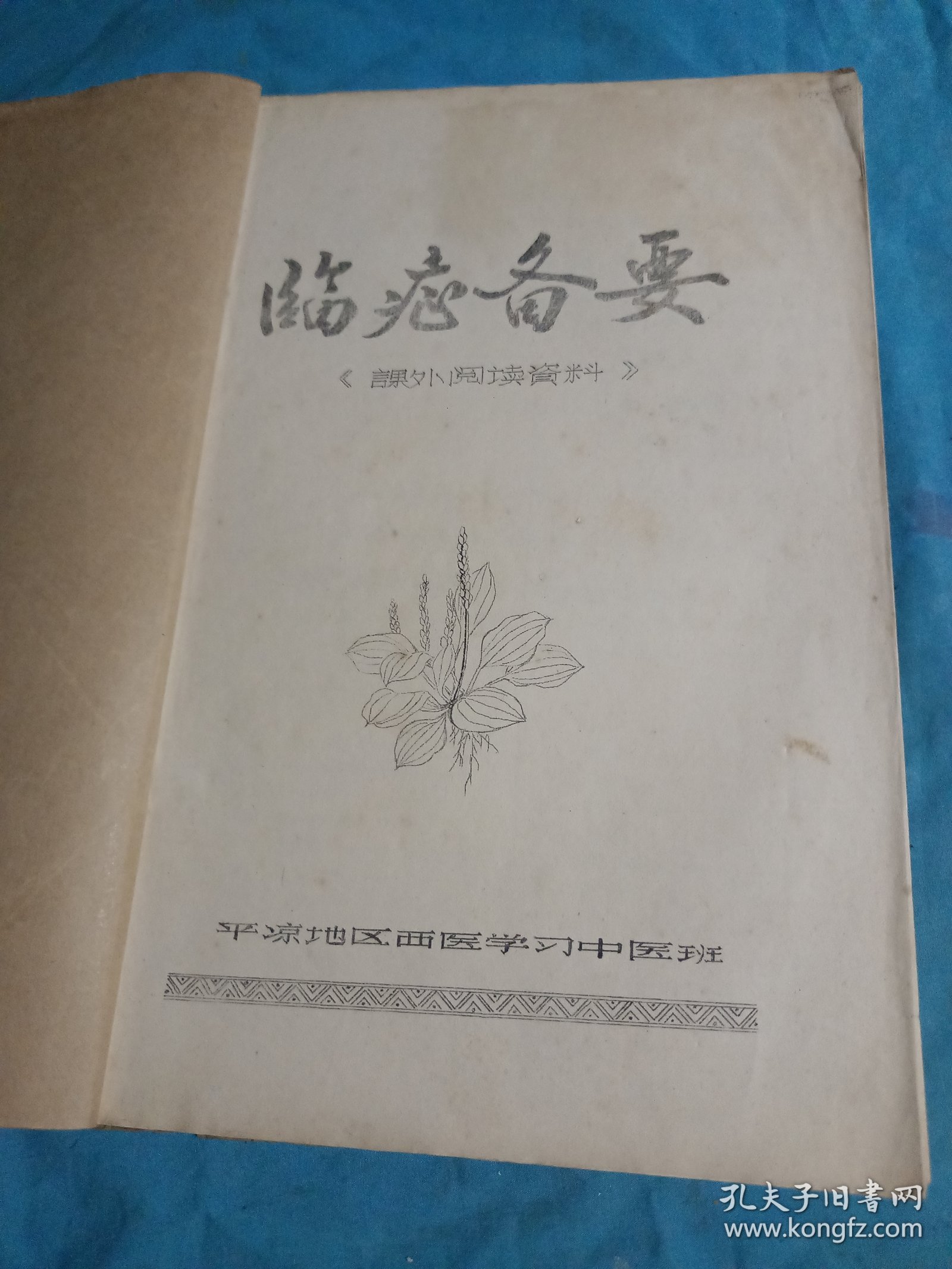 临症备要（油印）