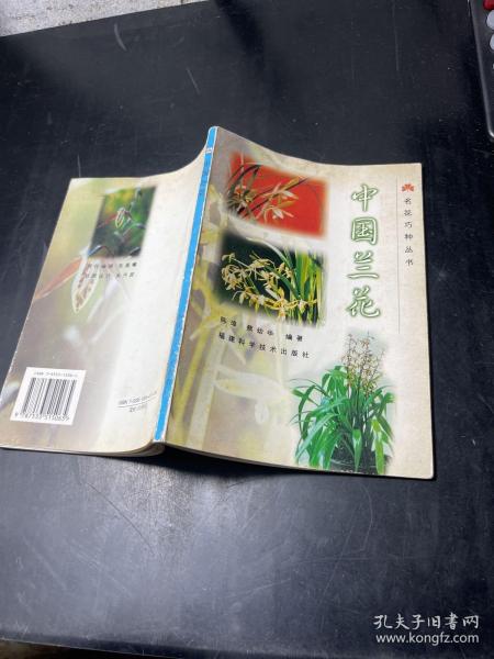 名花巧种丛书--中国兰花