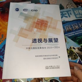 透视与展望-中国与国际发现报告2023-2024