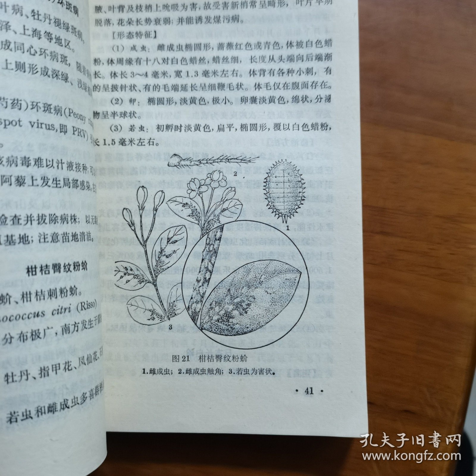 观赏花卉病虫害（放阁楼位）