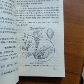 观赏花卉病虫害（放阁楼位）