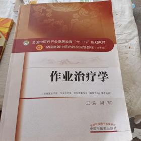 作业治疗学/全国中医药行业高等教育“十三五”规划教材