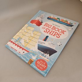 big book of ships（英文精装绘本）