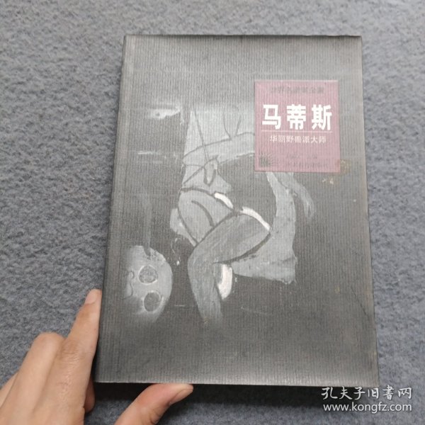 世界名画家全集--马蒂斯