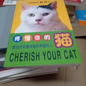 疼惜你的猫