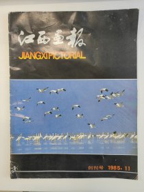 江西画报 1985 创刊号