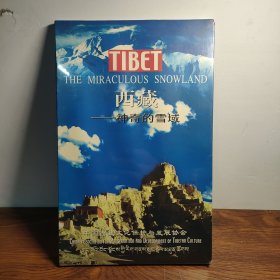 西藏——神奇的雪域 VCD