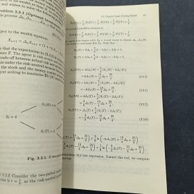 金融随机分析-(第1卷)：The Binomial Asset Pricing Model