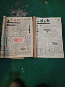 杂文报1995年全