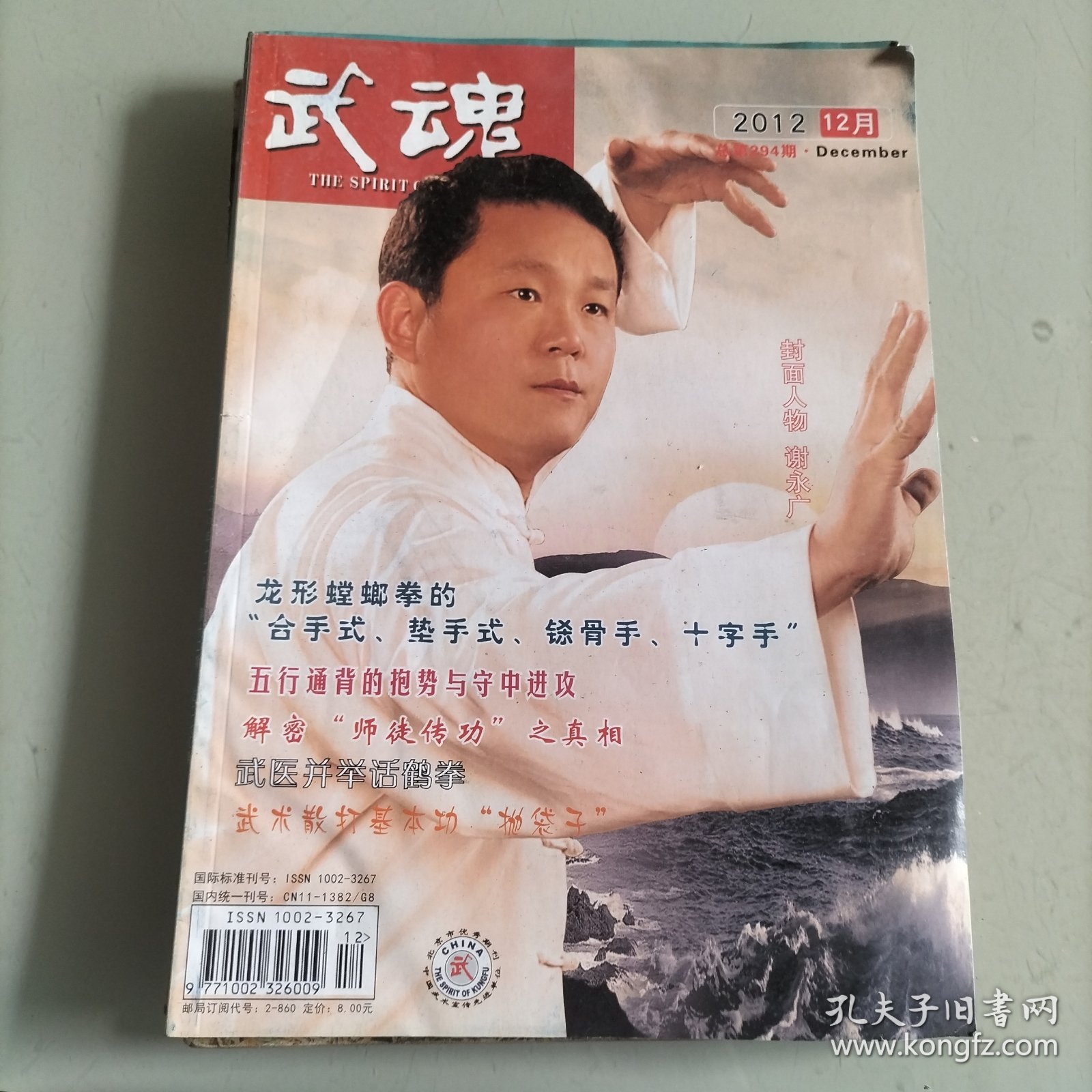 武魂杂志，武林三国，台湾武坛，八极拳，健身气功，华人武术，意拳，高峰论坛，太极拳，长寿，武术家，鹤山咏春拳，擂台，人生舞台，拳艺大观，龙形螳螂拳，鹰手拳，大成拳，练功明旨，五行通背，武术，八段锦，拳经典籍，武备真传，拳种，中华武士会，鹤拳，太极拳竞赛套路，传统功法，武派太极拳，防守技法，训练，武术散打，基本功，韩氏意拳，传统武术，请拳