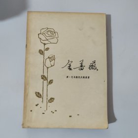 金蔷薇