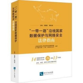 “一带一路”沿线国家数据保护与网络安全法律指南