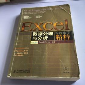 Excel数据处理与分析实战技巧精粹