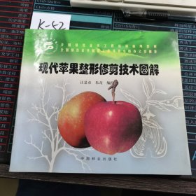 现代苹果整形修剪技术图解