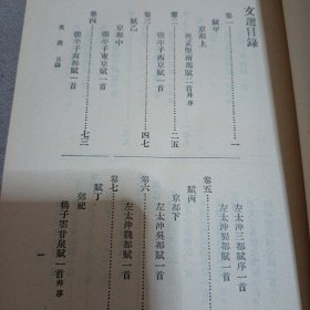 文选（全二册）