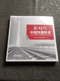 新时代中国铁路桥梁
