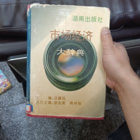 市場經(jīng)濟(jì)大辭典