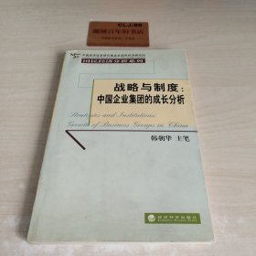 战略与制度：中国企业集团的成长分析