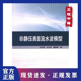 非静压表面流水波模型 9787030746986