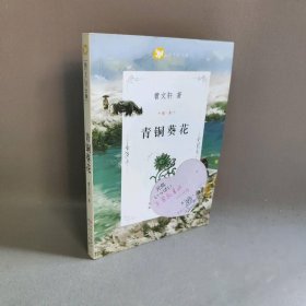 青铜葵花 曹文轩 著 著 天天出版社