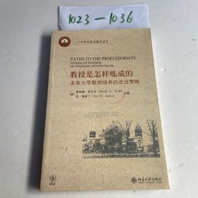 教授是怎样炼成的：未来大学教师培养的改进策略