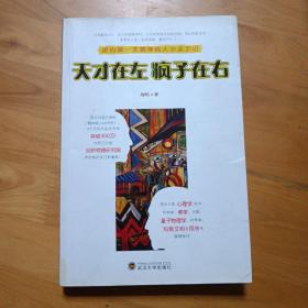 天才在左 疯子在右：国内第一本精神病人访谈手记