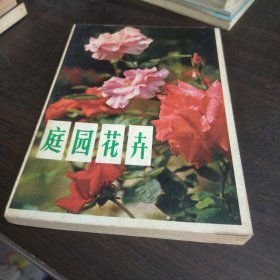 庭园花卉