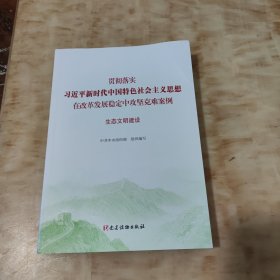 生态文明建设（贯彻落实习近平新时代中国特色社会主义思想在改革发展稳定中攻坚克难案例）