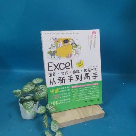 Excel图表·公式·函数·数据分析从新手到高手