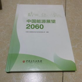 中国能源展望2060