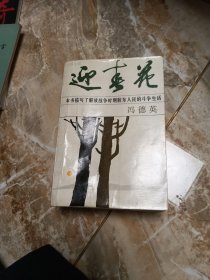 迎春花