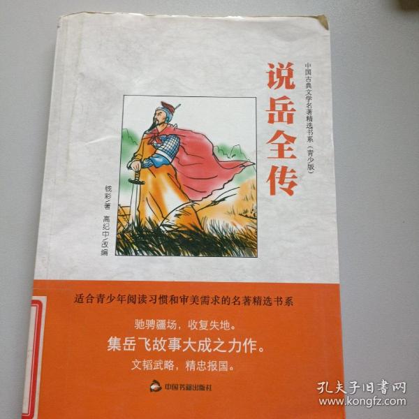 中国古典文学名著精选书系：说岳全传（青少版）