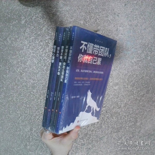 管理圣经全五册  李向阳 北京时代华文书局