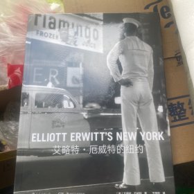 艾略特·厄威特的纽约