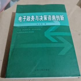 电子政务与决策咨询创新/西B15