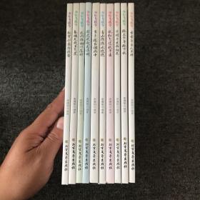 少年飞花令（全十册）春城无处不飞花 岁岁年年人不同 青山隐隐水迢迢 秋雨梧桐叶落时 桥上少年桥下水 乱红飞过秋千去 月明千里两相思 多少楼台烟雨中 轻罗小扇扑流萤 梨花风起正清明（附送飞花令里读诗词字帖）