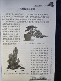 水旱盆景制作与养护