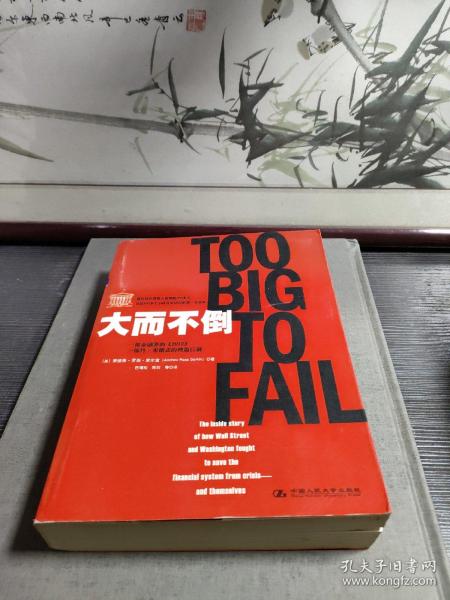 大而不倒：2010年全球政要和首席执行官争相阅读的金融危机启示录