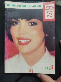 世界之窗（85年第6期）