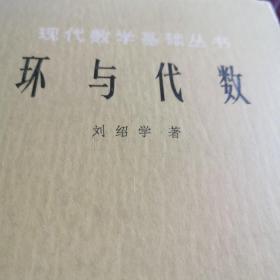 环与代数  精装本。现代数学基础丛书